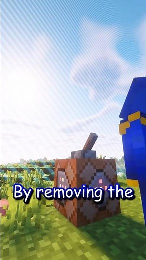 What's BEYOND Minecraft's World Border? #minecraft #gaming #minecraftsurvival
