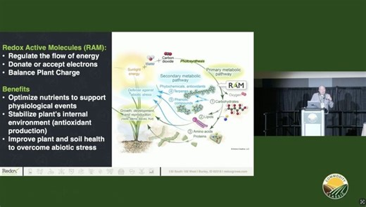The Power of RAM Technology, with John Kelly of Redox | Redox Bio-Nutrients