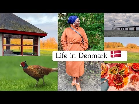 Cozy 🍵days in my life in Denmark 🇩🇰| Slow living| Scandinavian life/Family time