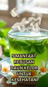 5 Manfaat Rebusan Daun Kelor Untuk Kesehatan Tubuh