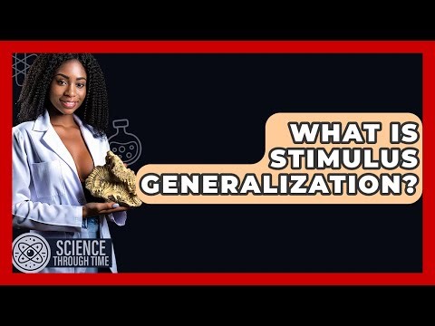 What Is Stimulus Generalization? - Science Through Time