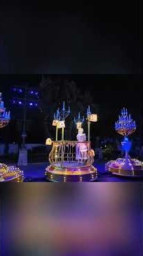 Princesses Light Up the Night Parade!
