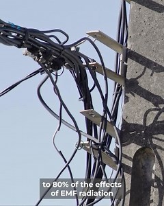 EMF Protection on Instagram: "I feel so much better since I got mine. I have more energy, I sleep better, my mental clarity has gone up and I have peace of mind about my children. - Sarah D. Meet the Bodywellchip, which uses revolutionary Swiss-Engineered technology to reduce the harmful effects of EMFs. Start living a more mindful and healthy digital lifestyle. Keep in mind, the government hasn't updated safety standards for EMF emitting devices since 1996. Click to learn more about this govern