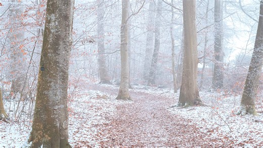 How to Shoot and Edit Stunning High-Key Winter Landscapes