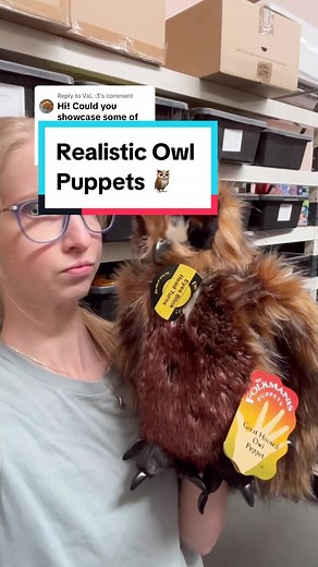 Explore Realistic Owl Puppets from Folkmanis