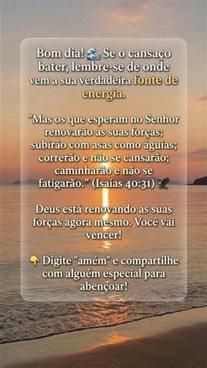 Descanse o seu coração: O que você precisa saber hoje 🙏 #bomdia#féeesperança#status #motivação