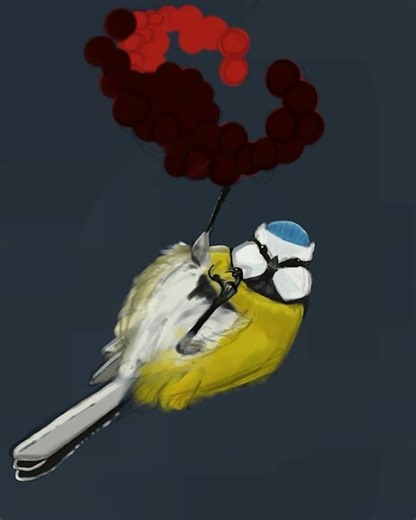 Digital painting of a bird #beginnerart #digitalart