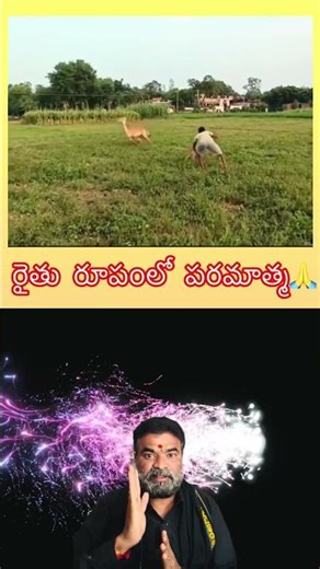 God in the form of a farmer🙏#kindnessispowerful #farmer #helpinghands #trendigshorts #supportmych...