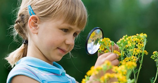 Savez-vous décrire une fleur avec le bon vocabulaire ?