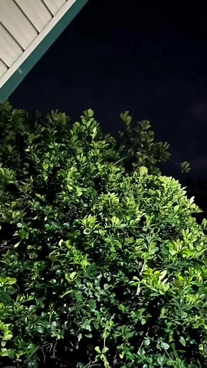 Empowering Lyrics: Overcoming Pain and Rebuilding Trust