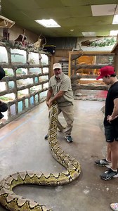 370K views · 8K reactions | Got some bodybuilders in town so I...