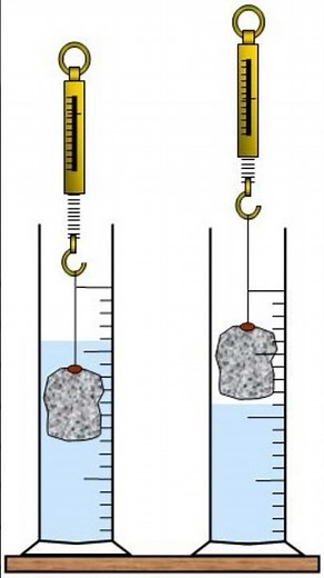Archimedes Principle Explained | Buoyant Force & Apparent Weight | Physics Experiment #mixtape