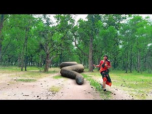 Anaconda Snake Attack On Village Girl In The Forest