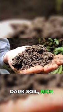 Terra Praeta: Ancient Soil's Explosive Secret