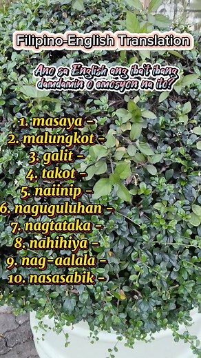 Filipino-English Translation Iba't ibang damdamin o emosyon #English #translation #vocabulary #education #teacheranne | Teacher Anne