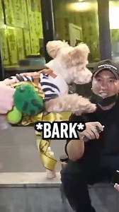 iShowSpeed Bit By Dog | IShowSpeed