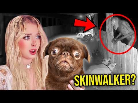 PUPPY REACTS TO SCARY CURSED VIDEOS.... (PART 3)