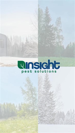 Your home stays active year-round… and so do pests. Even a skipped service can give unwanted guests the chance to settle in. Our seasonal treatments are built to protect your home in every season—preventing pests before they become a problem. Stay ahead and stay pest-free with Insight Pest Solutions. 💚 Ready for your next service? Click to schedule or send us a message today: https://f.mtr.cool/djatqevnfm #PestControl #HomeProtection #PestPrevention #InsightPestSolutions #PestControlService #Pe