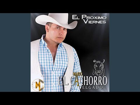 Caballero Perfecto