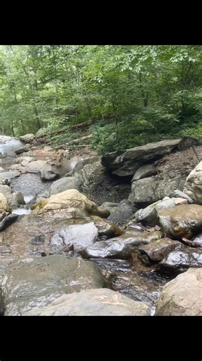 23 reactions · 4 comments | One of Gods creations. So beautiful | Chad Allen | Facebook