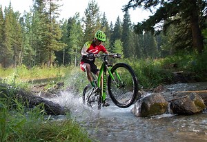 New Jet 9 Family from Niner