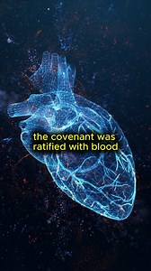 14K views · 864 reactions | Where is the New Covenant written? //...