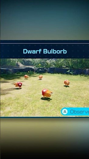 1 Pikmin vs The Dwarf Bulborb