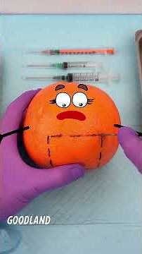 Goodland | tangerine inside an orange 😂 #cartoon #doodles #animation #funny