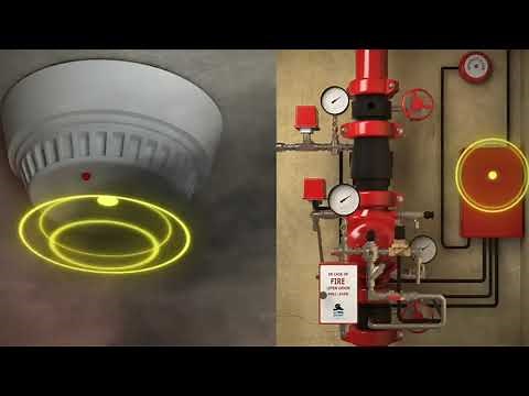Pre-Action Fire Protection System:- 🔥#fireworks #fire #Protection#system#fireprotection