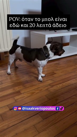Ο σκύλος δεν του αρέσει το άδειο μπολ #voiceover #pets #funny #memes #isaakveriopoulos #dog