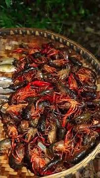 Harvesting Wild Crayfish, Clams & Crabs from a Clear Stream to Cook a Rustic Wok Feast