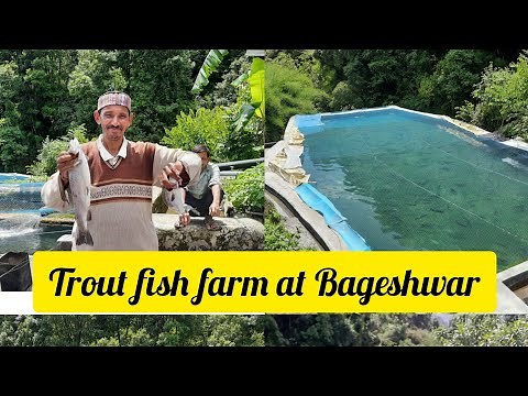 Trout fish 🐟 farming in uttrakhand ||BAGESHWAR ||‪@sunilgariaji‬