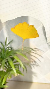 Autumn Leaves in a Diary #autumn #nature #leaves #diary #seasons #fallvibes #beauty #colors #peace #reflection | paper craft ideas