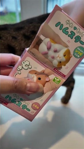 Hamster Unboxing with Jin 🐹📦 | Cutest Surprise Ever! (Part 1) 😻✨