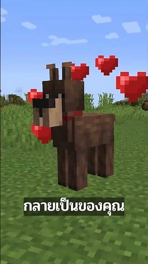 Adding More Dogs... Must-Play Mod | Minecraft #Minecraft