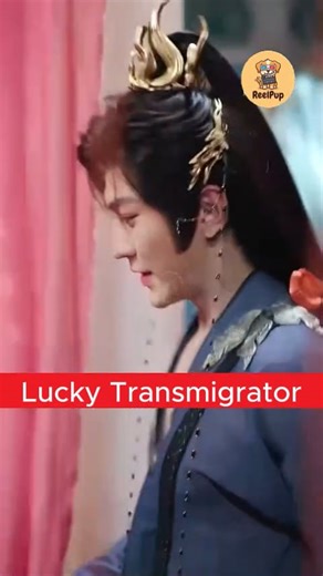 Full Series Review: The Lucky Transmigrator