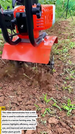 Efficient Soil Cultivation with a Mini Tiller | Easy Farming Between Crop Rows
