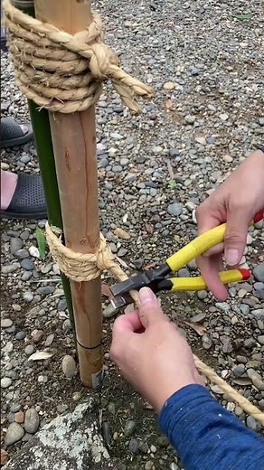 二川八幡神社 垣根結び