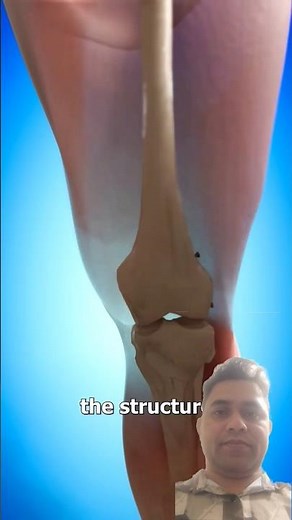 Broken Bones Here’s How They Heal and Get Fixed | Education Films