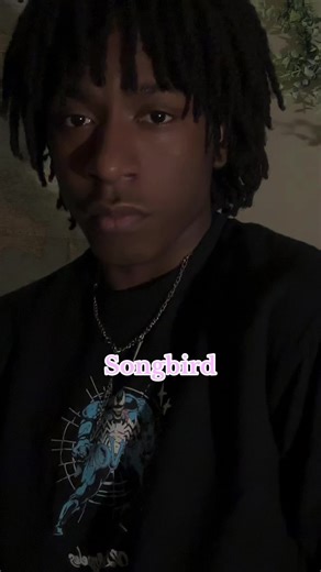 Songbird vs Rattlesnake: A Mythical Journey