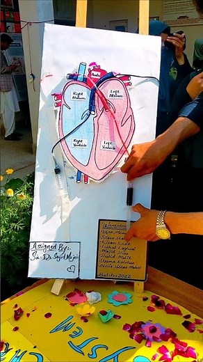 Top Science Project ❤️ Heart Working Model | Easy & Creative#art #project #schoolproject #heart