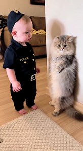 Police Baby Arrests a Guilty Persian Cat 😹👶🚓 | Funny Home Video Posted by Animal Laugh World This naturally funny home-video moment is pure cuteness and comedy gold 😂🐾 A cute fair-skinned baby wearing a tiny police uniform stands very serious in the living room, acting like a real police officer on duty 👶🚓 He points his small finger at a beautiful real Persian cat, who is already standing on her two back legs, lightly pressed against the wall in a scared and guilty pose 😳🐱 Her ears are 