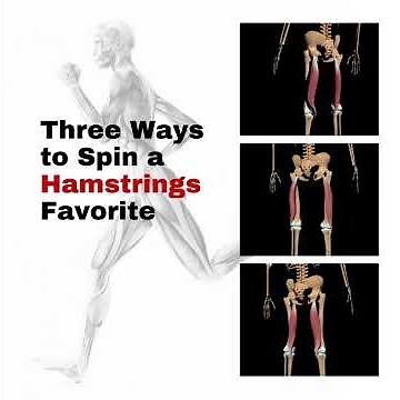 Pin and Stretch of the hamstrings muscles | ErikDalton.com