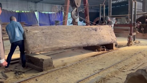 Powerful Machines Transforming Massive Lumber