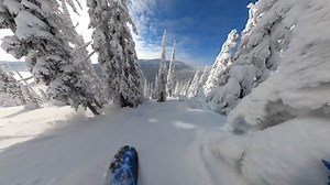 1K views · 42 reactions | このホリデーシーズンは GoPro.com で全商品が更に15%オフ  サブスクユーザーなら、カメラ・マウント・アクセサリー・ライフスタイルグッズが、チェックアウト時にサブスク割引に更に15%の割引が追加  今すぐ GoPro.com でチェックしよう！ | GoPro | Facebook