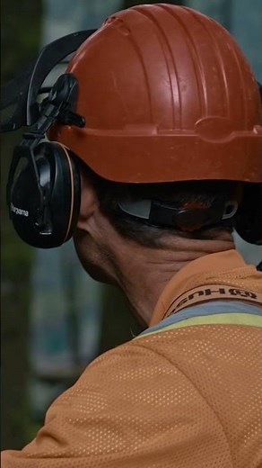 Giant Cedar Falls! 🌲 | The Last Woodsmen | Discovery