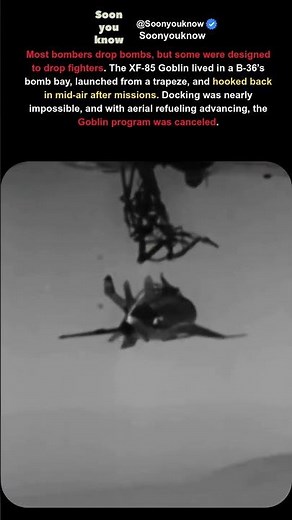 This Fighter Jet Lived Inside a Bomber #military #history #aviation