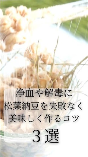 私の科学物質過敏症も半年で良くなった🌲デトックス・血液を綺麗にしてくれる松葉と大豆の材料2つで簡単に美味しい納豆ができちゃった🌿🌲松葉納豆の作り方☘️