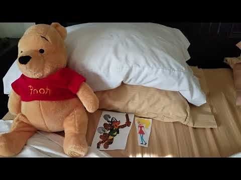 Tiggers' Clues Tiggers' Big Costume Party Part 1