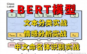 基于BERT模型的文本分类/情感分析/中文命名体识别实战教程！华理博士带你从零详解BERT模型，草履虫都学的会！